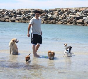 pet friendly family vacation