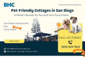 Pet-Friendly Cottages in San Diego