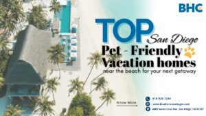 Top San Diego Pet-Friendly Vacation Homes Near the Beach for Your Next Getaway