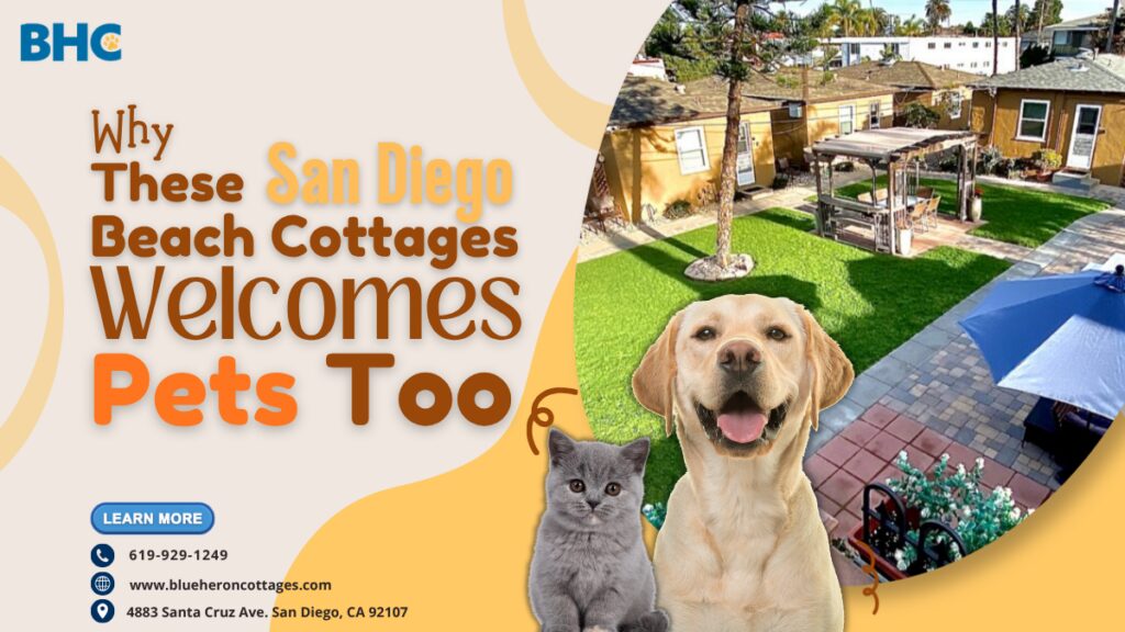 San Diego Beach Cottages Welcome Pets Too