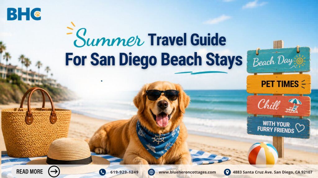 travel to San Diego beach