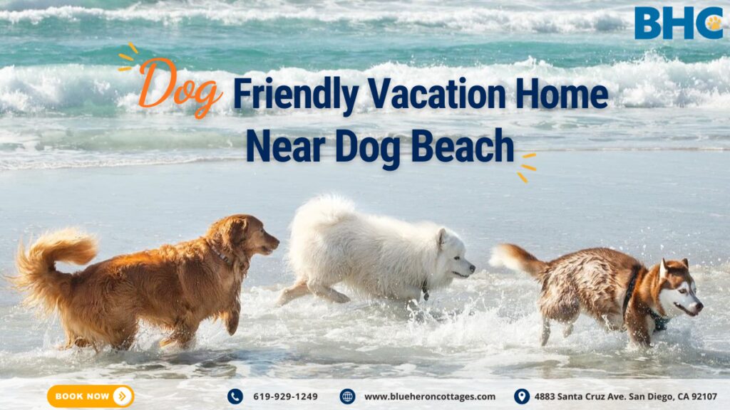 Dog Friendly Vacation Home near beach