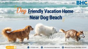 Dog Friendly Vacation Home near beach