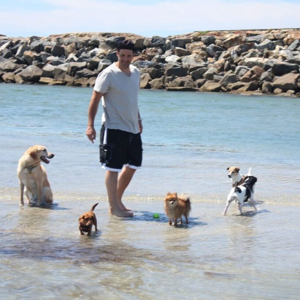 CC with dogs on beach